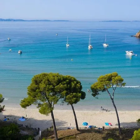 Apartamento Cosy Bord De 150m De La